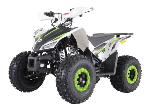 125cc Titan Revolution MX ATV Quad PURPLE / GREEN