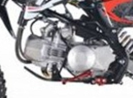 150cc DAYTONA 4 valve Race Bike Engine